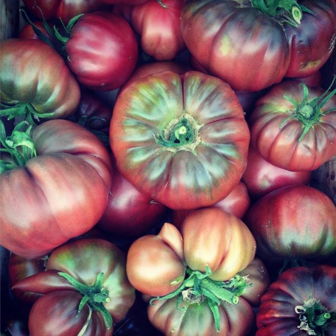Tomates Noires de Crimée