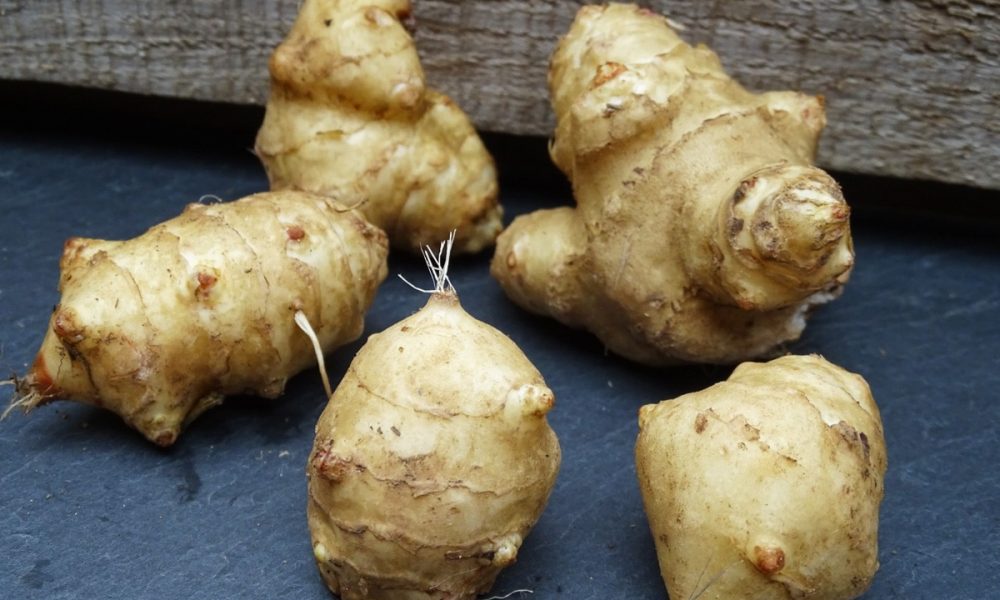 Le topinambour : saison, bienfaits, conservation, recettes, etc !