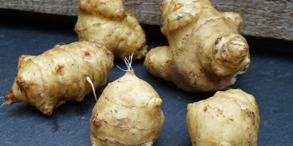 Le topinambour : saison, bienfaits, conservation, recettes, etc !