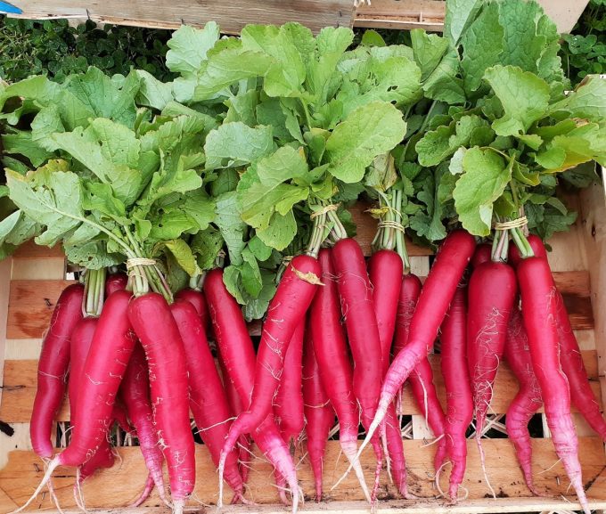 Légumes du Train Carottes