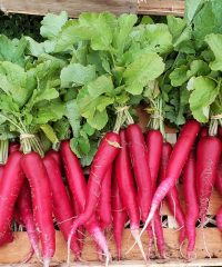 Légumes du Train Carottes
