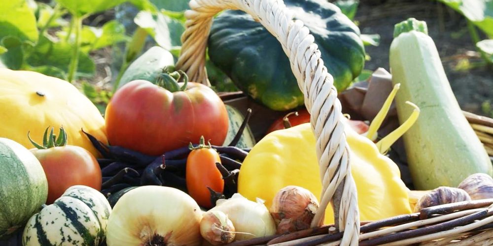 Faire des économies sur vos courses en mangeant local [ASTUCES]