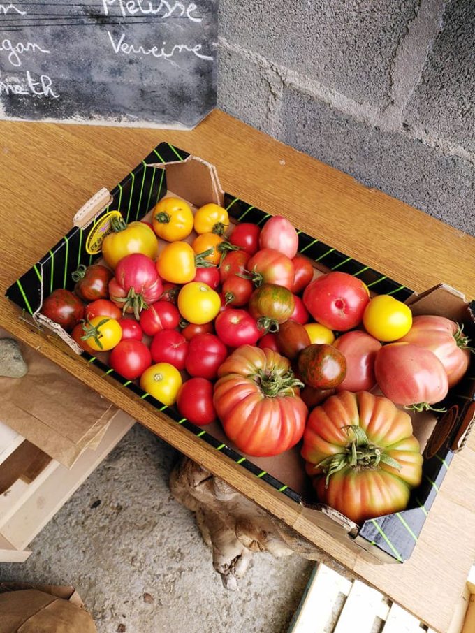 Tylégumes - tomates