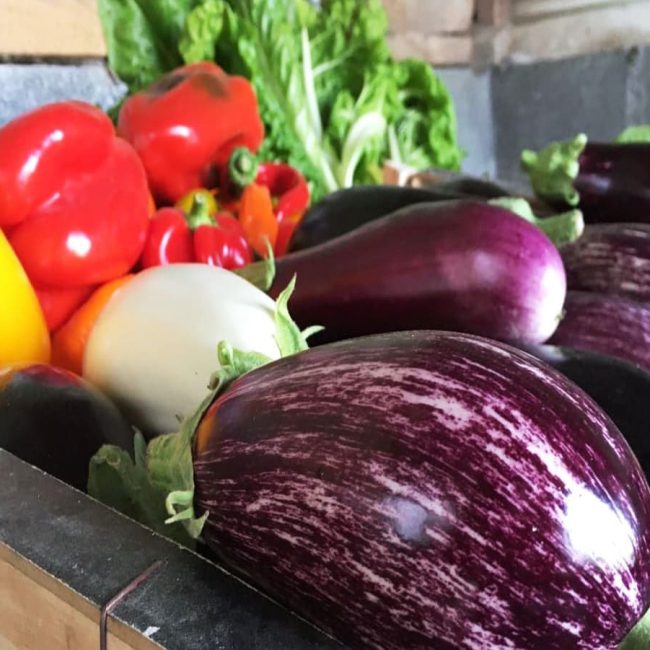 Tylégumes