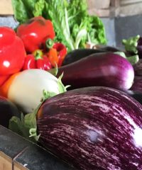 Tylégumes