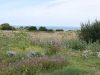 Un Pied devant l'Autre - paysage
