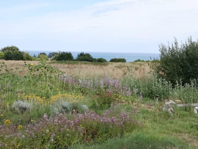 Un Pied devant l'Autre - paysage