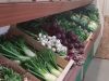 Vente directe à la ferme