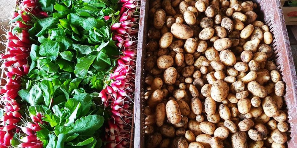 Comment faire pour manger local et responsable ?