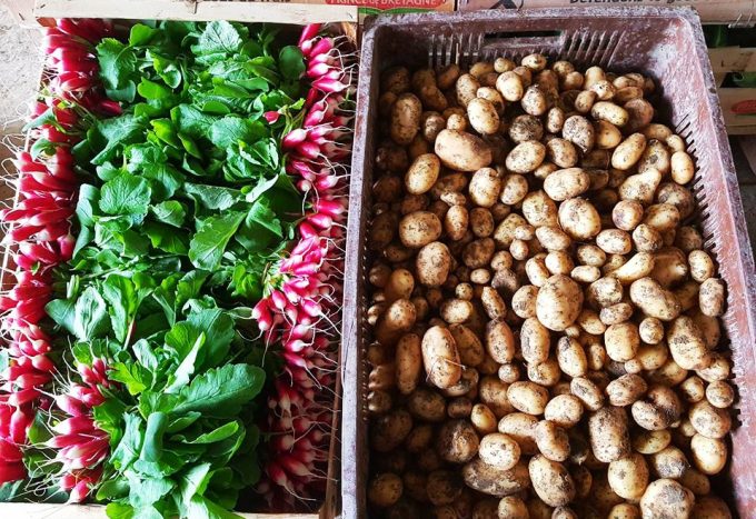 Ventes en directe sur les marchés