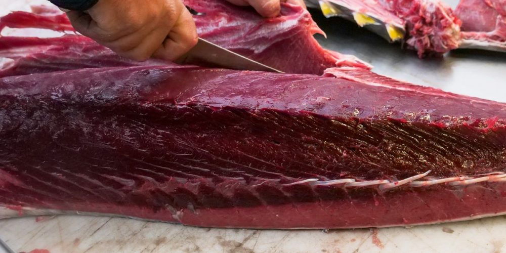 Ventrèche de Thon : comment bien la choisir et la déguster ?