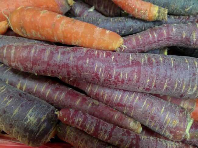 La carotte : Origines, variétés, couleurs et bienfaits pour la santé