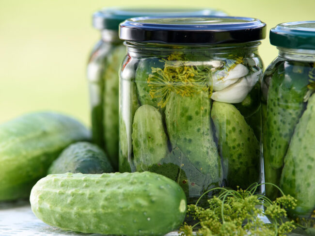 Le Cornichon : Origine, Bienfaits, Cultures… et idées de recettes !