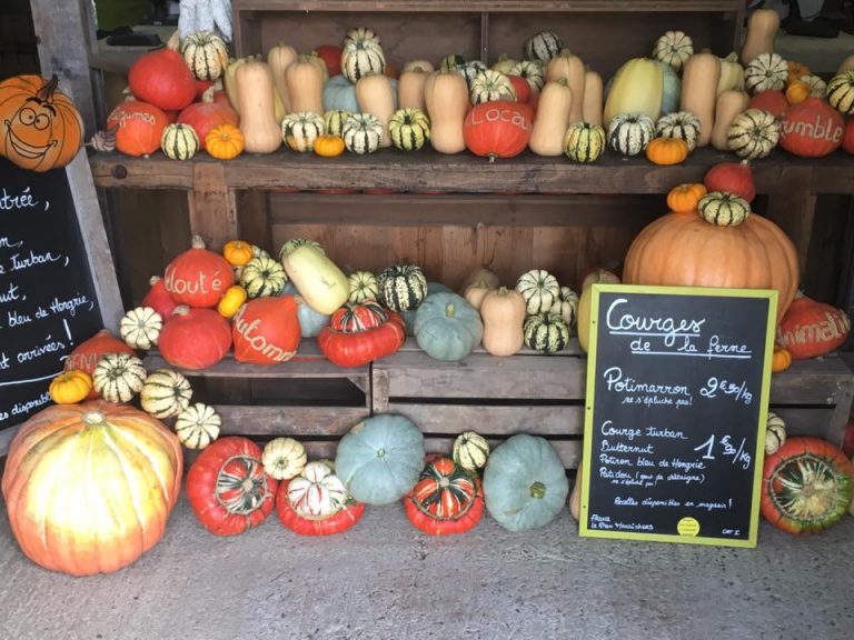 quelle-est-la-saison-des-courges-le-d-tail-pour-chaque-vari-t
