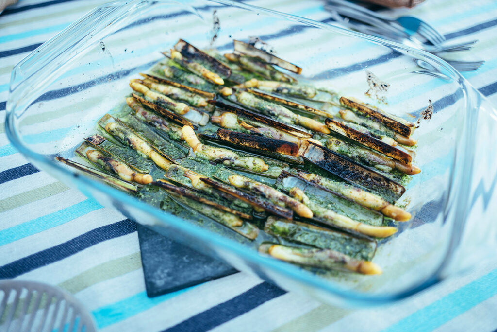 Couteau de mer (coquillage) : pêche, saison et recettes Couteau de mer (coquillage) : pêche, saison et recettes