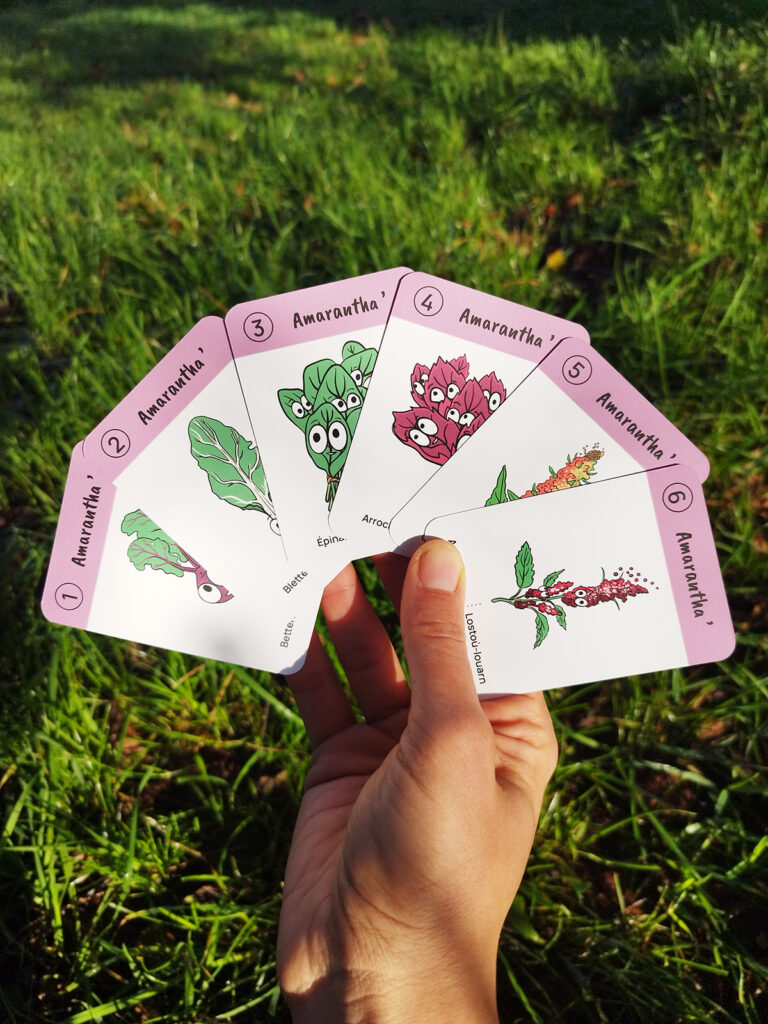 Jardin Biskoul : des outils simples pour apprendre à jardiner au naturel