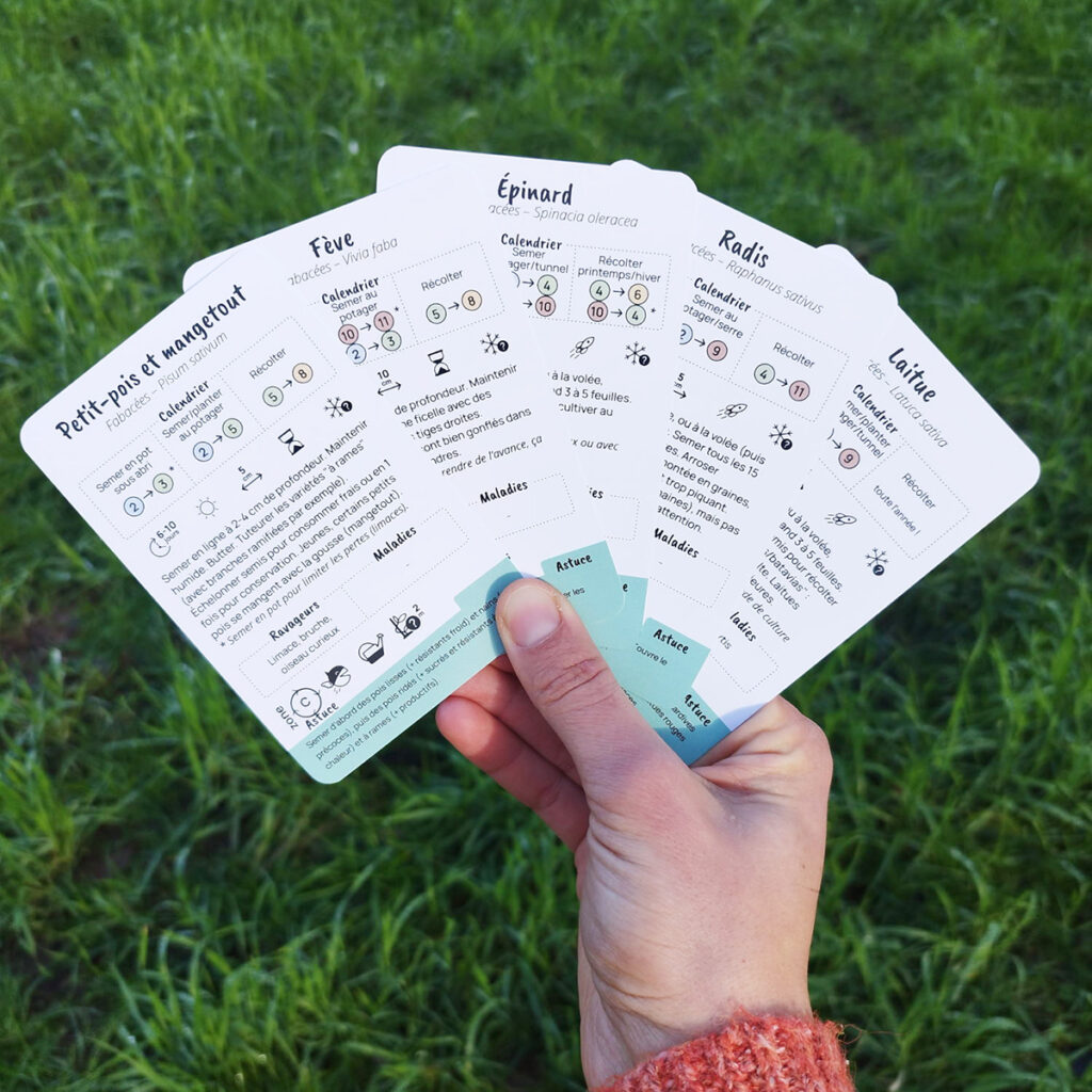 Jardin Biskoul : des outils simples pour apprendre à jardiner au naturel