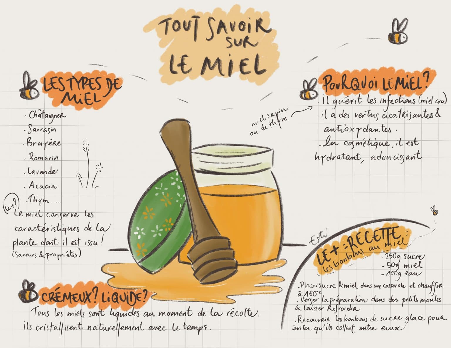 Miel Quels Bienfaits ? Les différents types et usages ? (Guide)
