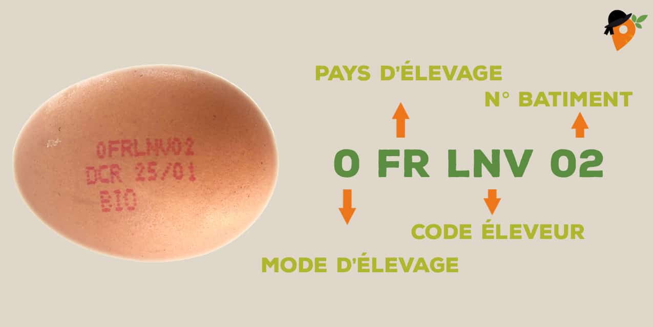 Code oeuf Comment choisir ses oeufs ? [GUIDE]