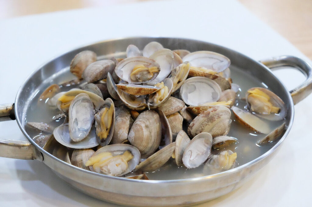 Palourde : saison, pêche à pied, bienfaits et recettes Palourde : saison, pêche à pied, bienfaits et recettes