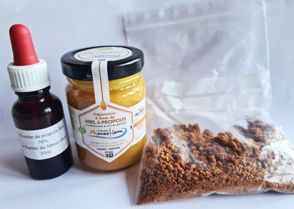 Les Bienfaits de la Propolis : 4 Variétés aux Pouvoirs Différents Les Bienfaits de la Propolis : 4 Variétés aux Pouvoirs Différents