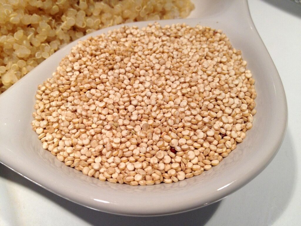 Quinoa breton : culture locale, bienfaits et idées recettes