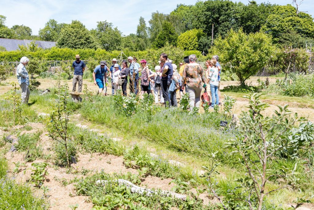 Stage de Permaculture et Agro-écologie pour vos jardins ! Stage de Permaculture et Agro-écologie pour vos jardins !